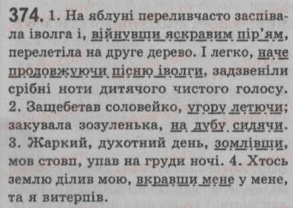 фото задание 374 - § 33. відокремлені обставини - речення з відокремленими членами