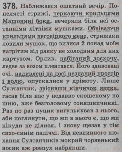 фото задание 378 - § 33. відокремлені обставини - речення з відокремленими членами