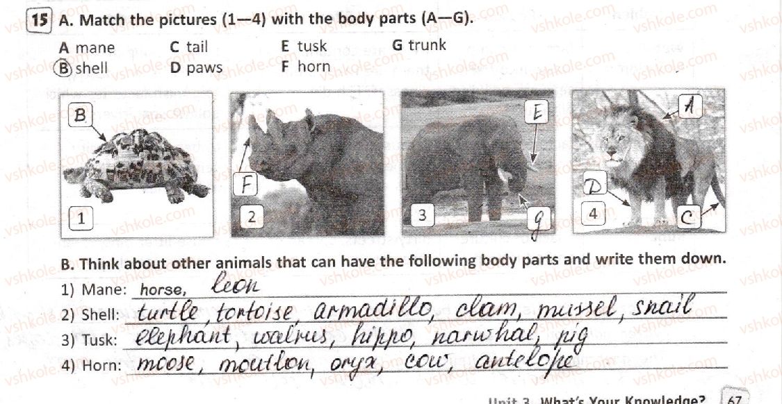 фото задание 15 - lesson 2. nature and the environment - unit 3. what’s your knowledge?