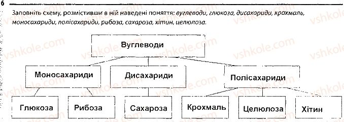 фото задание 6 - сторінка 11 - тема 1. хімічний склад клітини та біологічні молекули