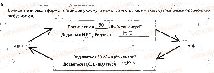 фото задание 5 - сторінка 13 - тема 1. хімічний склад клітини та біологічні молекули