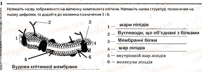 фото задание 3 - сторінка 14 - тема 2. структура клітини
