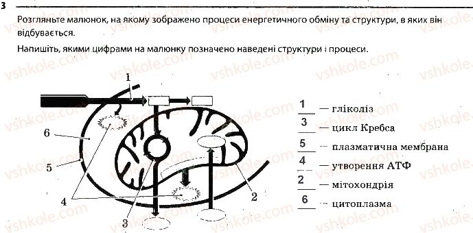 фото задание 3 - сторінка 20 - тема 3. принципи функціонування клітин