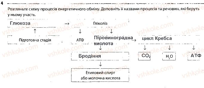 фото задание 4 - сторінка 21 - тема 3. принципи функціонування клітин