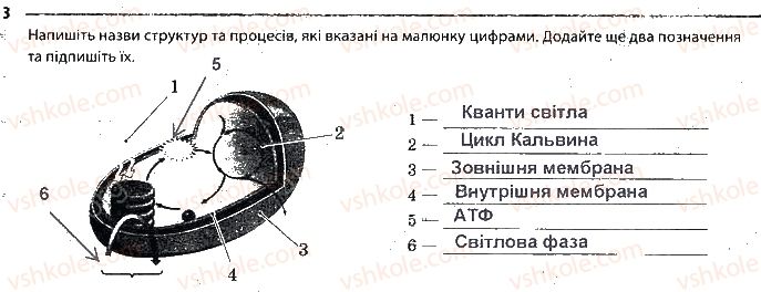 фото задание 3 - сторінка 22 - тема 3. принципи функціонування клітин