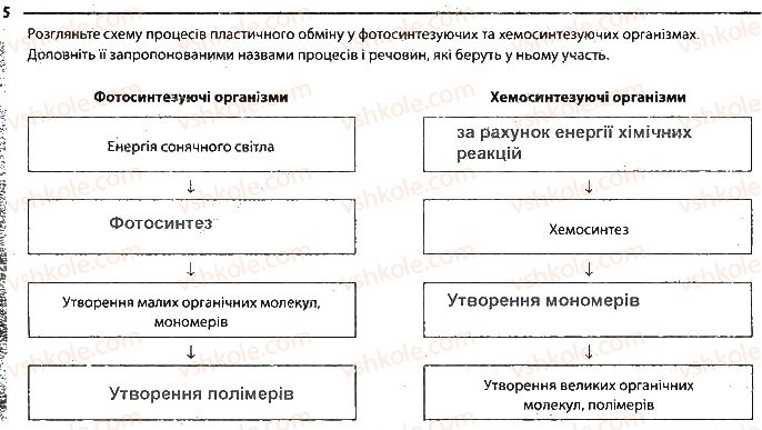 фото задание 5 - сторінка 23 - тема 3. принципи функціонування клітин