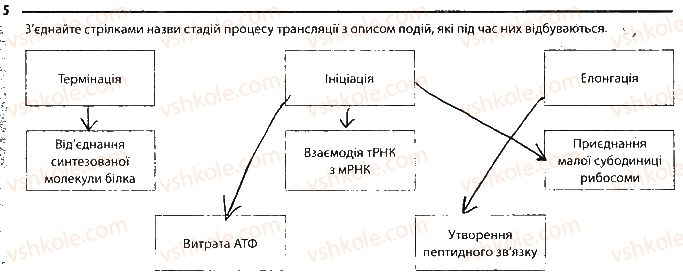 фото задание 5 - сторінка 27 - тема 4. збереження та ріалізація спадкової інформації