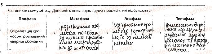 фото задание 5 - сторінка 29 - тема 4. збереження та ріалізація спадкової інформації