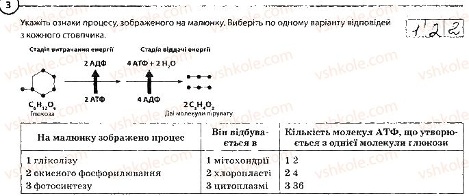 фото задание 3 - сторінка 33 - узагальнення знань за і семестр