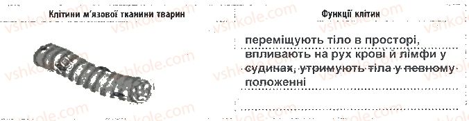 фото задание 1 - сторінка 6 - вкладиш. зошит для лабораторних робіт