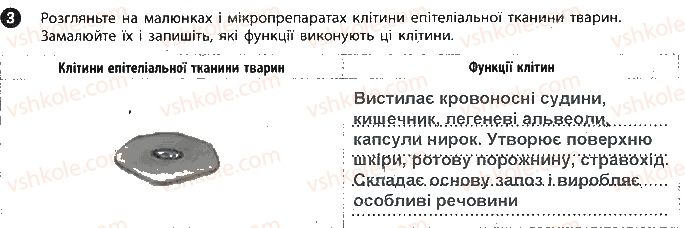 фото задание 3 - сторінка 6 - вкладиш. зошит для лабораторних робіт