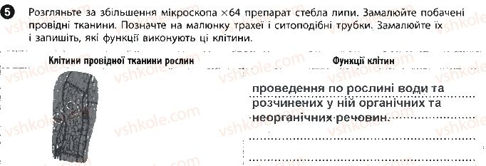 фото задание 5 - сторінка 7 - вкладиш. зошит для лабораторних робіт