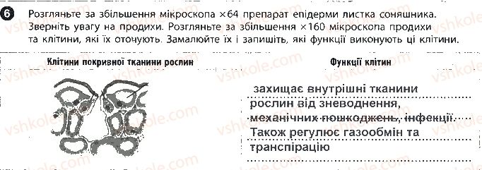 фото задание 6 - сторінка 7 - вкладиш. зошит для лабораторних робіт