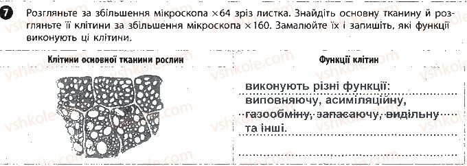 фото задание 7 - сторінка 7 - вкладиш. зошит для лабораторних робіт