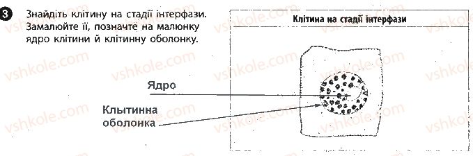 фото задание 3 - сторінка 8 - вкладиш. зошит для лабораторних робіт