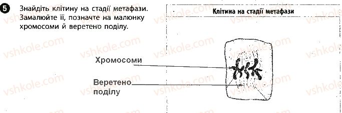 фото задание 5 - сторінка 9 - вкладиш. зошит для лабораторних робіт