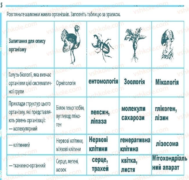фото задание 5 - сторінка 5 - вступ