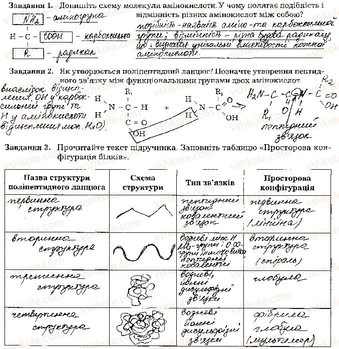 фото задание стр13 - тема 1. організм людини як біологічна система