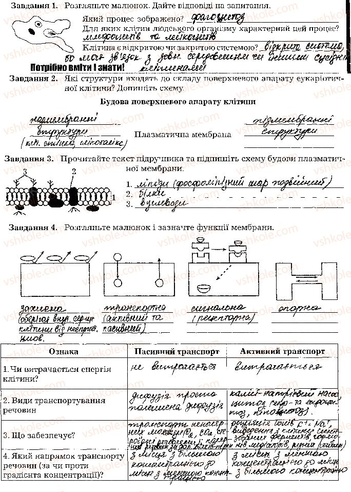фото задание стр24 - тема 2. структура клітини