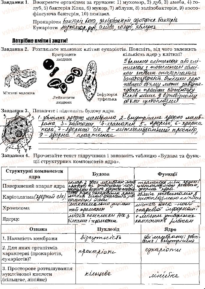 фото задание стр29 - тема 2. структура клітини