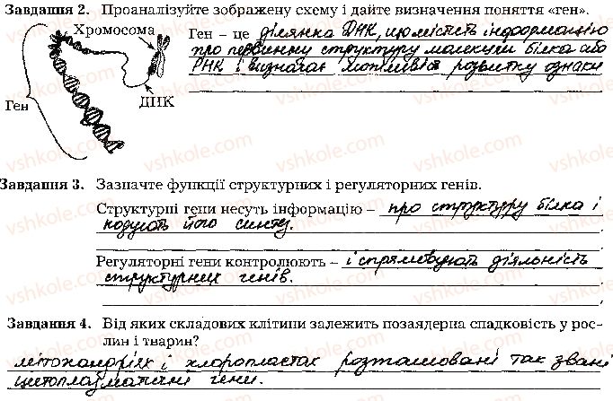 фото задание стр43 - тема 4. збереження та реалізація спадкової інформації