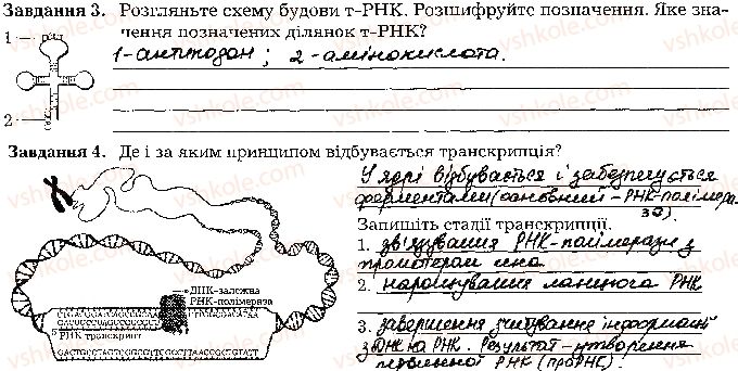 фото задание стр45 - тема 4. збереження та реалізація спадкової інформації