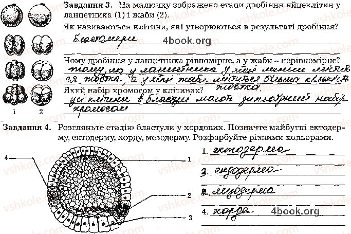 фото задание стр63 - тема 4. збереження та реалізація спадкової інформації