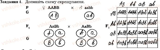 фото задание стр71 - тема 5. закономірності успадкування ознаки