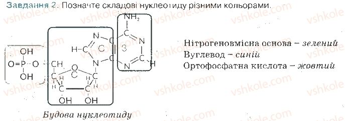 фото задание ст13завд2 - хімічний склад клітини та біологічні молекули
