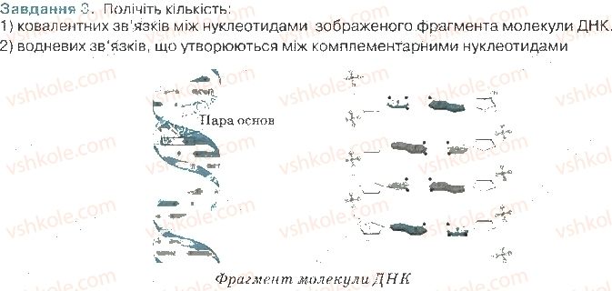 фото задание ст13завд3 - хімічний склад клітини та біологічні молекули