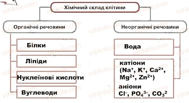 фото задание ст8завд1 - хімічний склад клітини та біологічні молекули