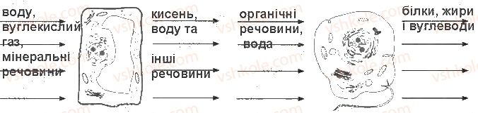 фото задание ст37завд1 - принципи функціонування клітини