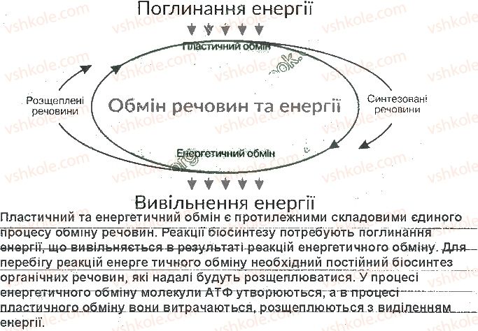 фото задание ст38завд2 - принципи функціонування клітини