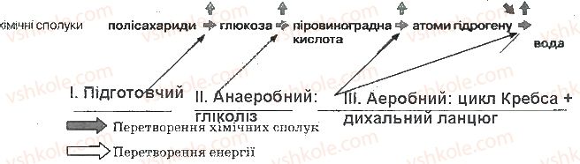 фото задание ст39завд1 - принципи функціонування клітини