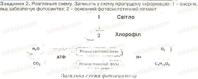 фото задание ст40завд2 - принципи функціонування клітини
