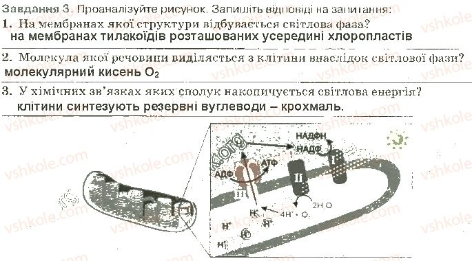 фото задание ст40завд3 - принципи функціонування клітини