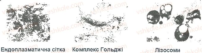 фото задание ст25завд1 - структура клітини