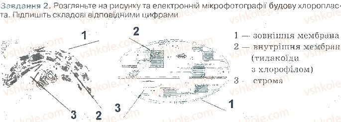 фото задание ст25завд2 - структура клітини