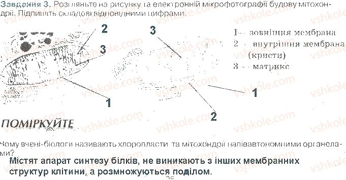 фото задание ст25завд3 - структура клітини