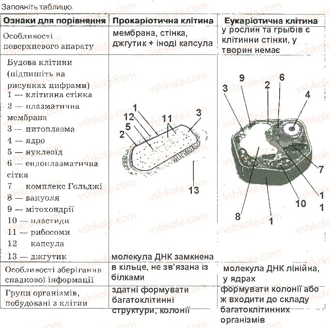 фото задание ст28 - структура клітини