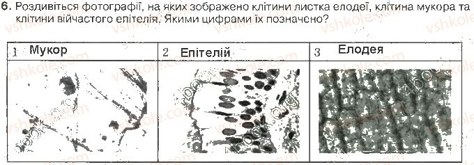фото задание ст29завд6 - структура клітини