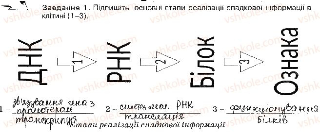 фото задание ст51завд1 - збереження та реалізація спадкової інформації