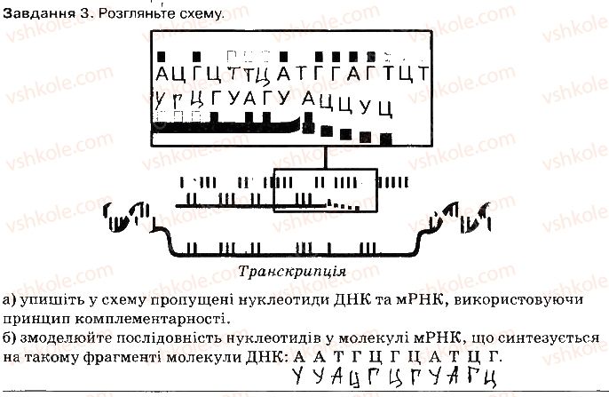 фото задание ст51завд3 - збереження та реалізація спадкової інформації