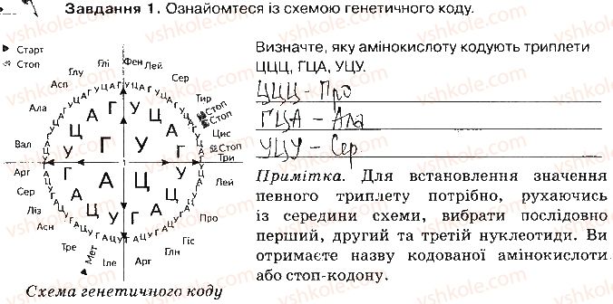 фото задание ст52завд1 - збереження та реалізація спадкової інформації