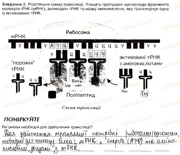 фото задание ст53завд2 - збереження та реалізація спадкової інформації