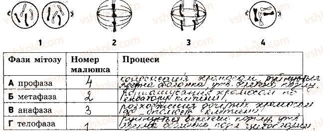 фото задание 10 - варіант 2 - контрольна робота 3. збереження та реалізація спадкової інформації - контрольні роботи