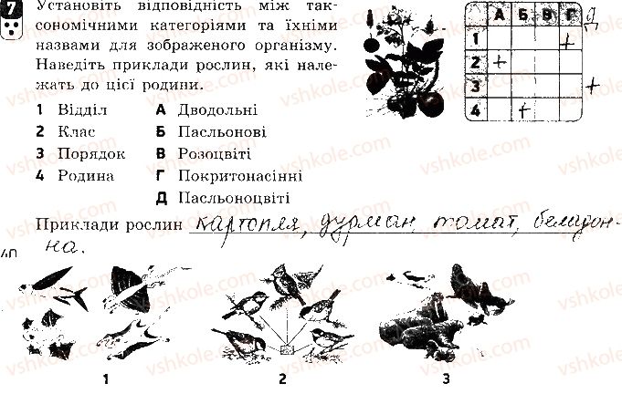 фото задание 7 - варіант 2 - контрольна робота 4. еволюція органічного світу - контрольні роботи