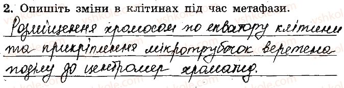 фото задание 2 - лабораторне дослідження фаз мітозу - лабораторні дослідження