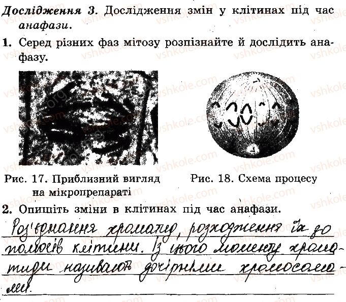 фото задание 3 - лабораторне дослідження фаз мітозу - лабораторні дослідження