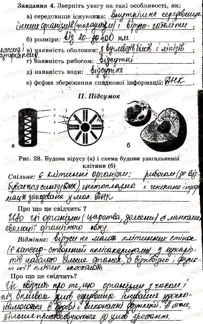 фото задание 4 - практична робота № 4. порівняння будови та процесу розмноження - практичні роботи